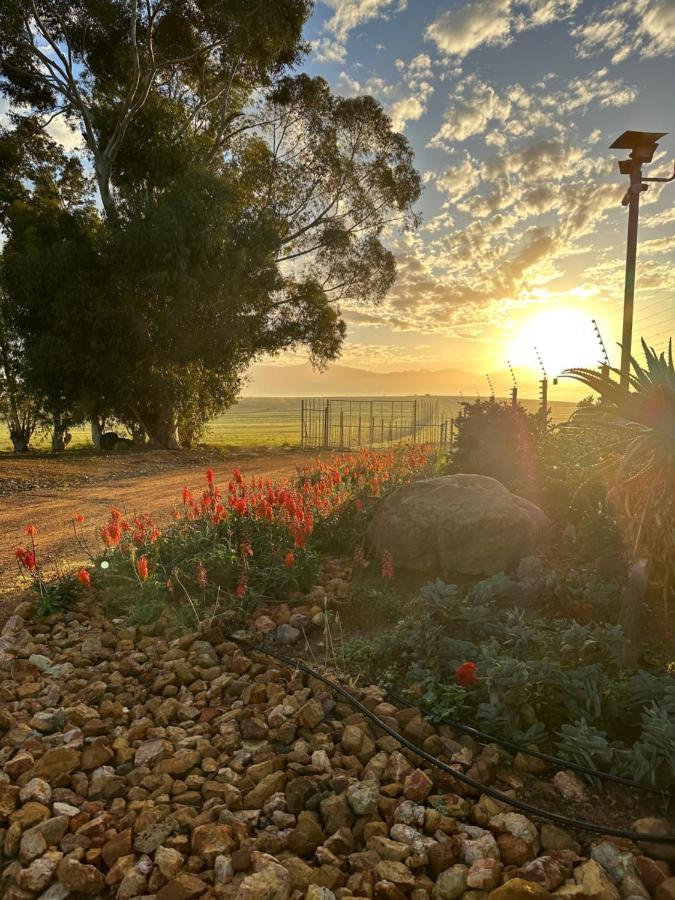 شقة Primo Farm بارل المظهر الخارجي الصورة